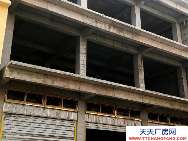 (出售) 斗牛場，市政府規劃主干道上，價格可以小談