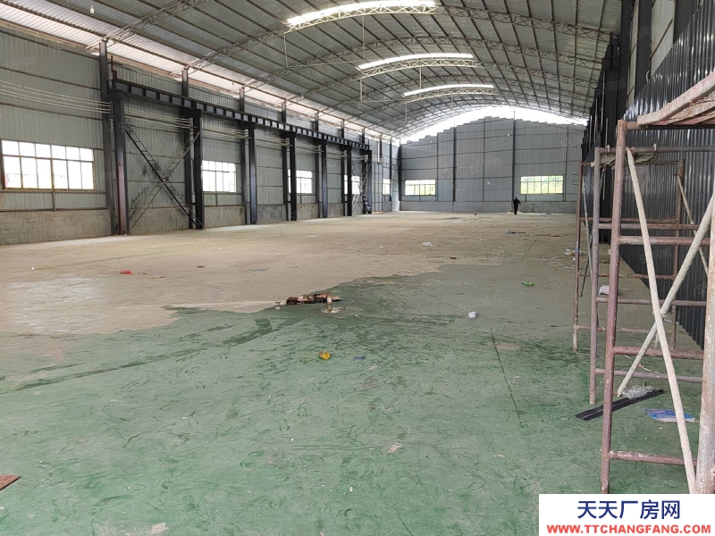 (出租) 興義 龍井廠房 出租 總面積2800平米 可做倉庫，停車場