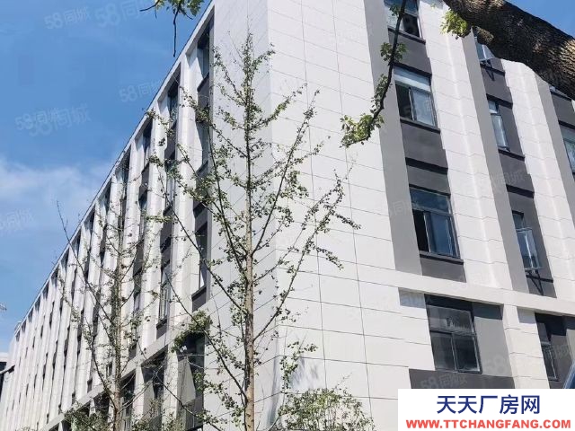 (出售) 開發商直售,即買即享受優惠政策