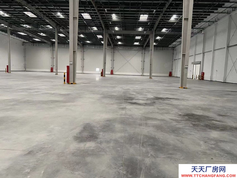 (出租) 汽博附近倉庫出租面積700~8000平米