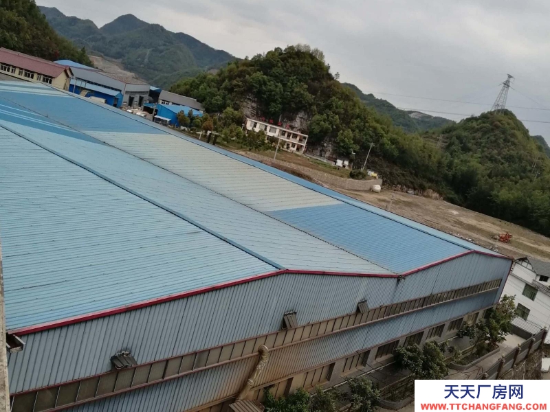 (出租) 鐘山月照廠房可分組價格面談