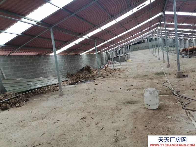 (出租) 有監(jiān)控設(shè)施可議價(jià)有房可作為宿舍?？纱螂娫捵h價(jià)