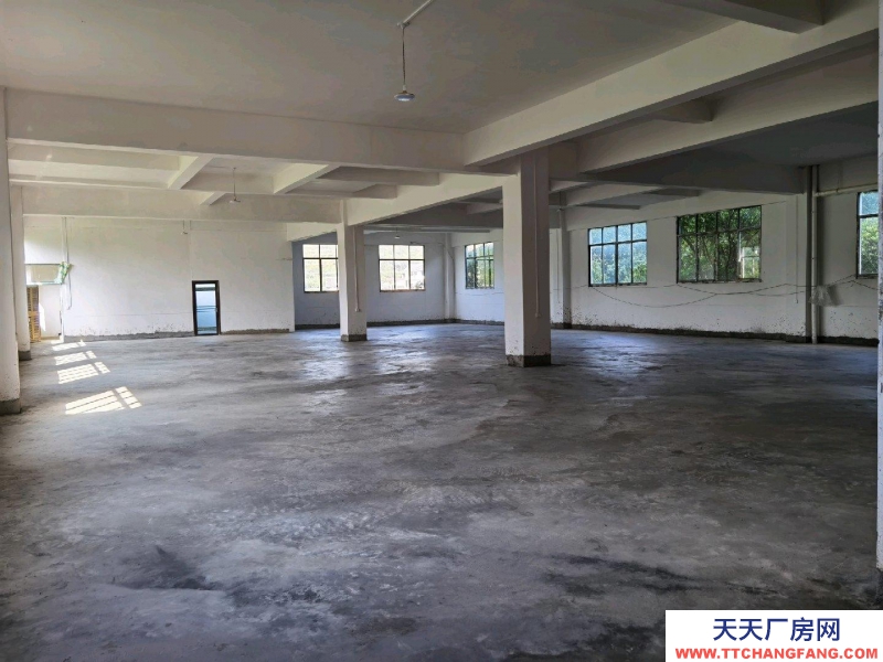 (出租) 一樓600平方，二樓500平方，可分租