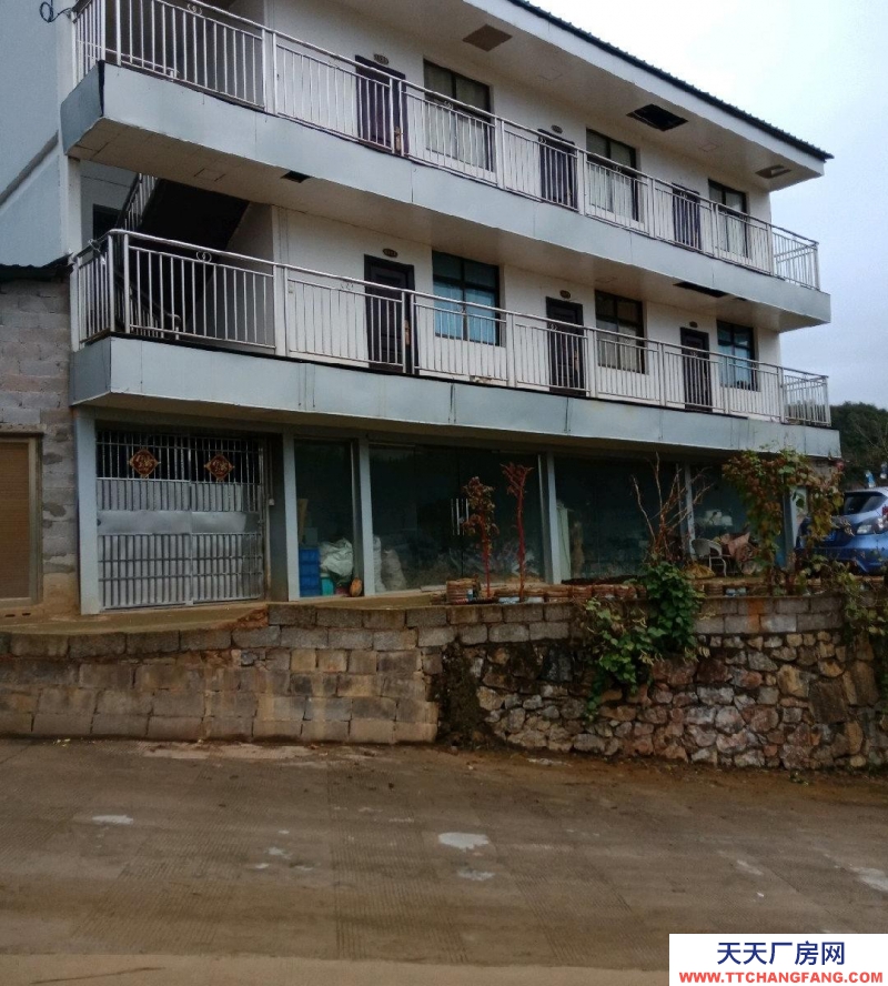 (出租) 本場地可規模養殖牛，農產品加工，房內可建冷庫及食用菌加工房