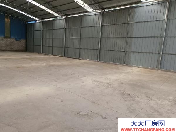 (出租) 1000平450平都有,有需要的聯(lián)系