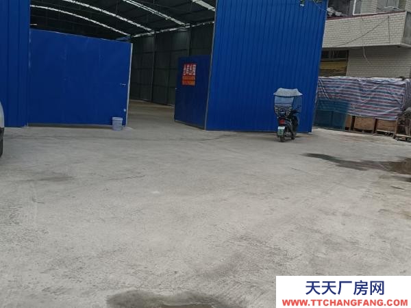 (出租) 1000平450平都有,有需要的聯(lián)系