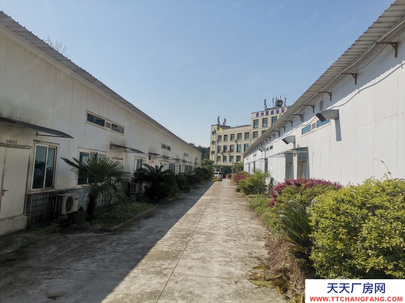 (出售) 出售路邊上廠房 土地14畝 辦公樓及廠房5千平