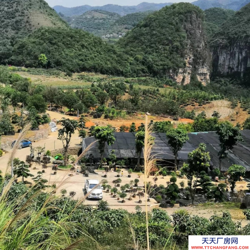 (出租) 花卉苗圃庫房長期出租