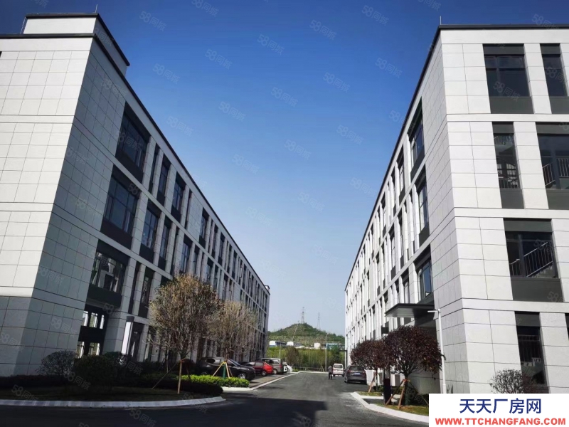 (出售) (首層8.1米)標準結構廠房出售 有產權,可定制