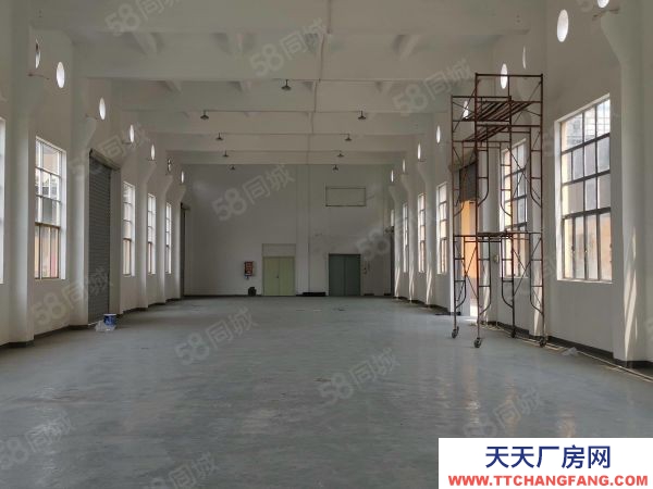 (出售) 標準工業廠房出售,層高8.1米