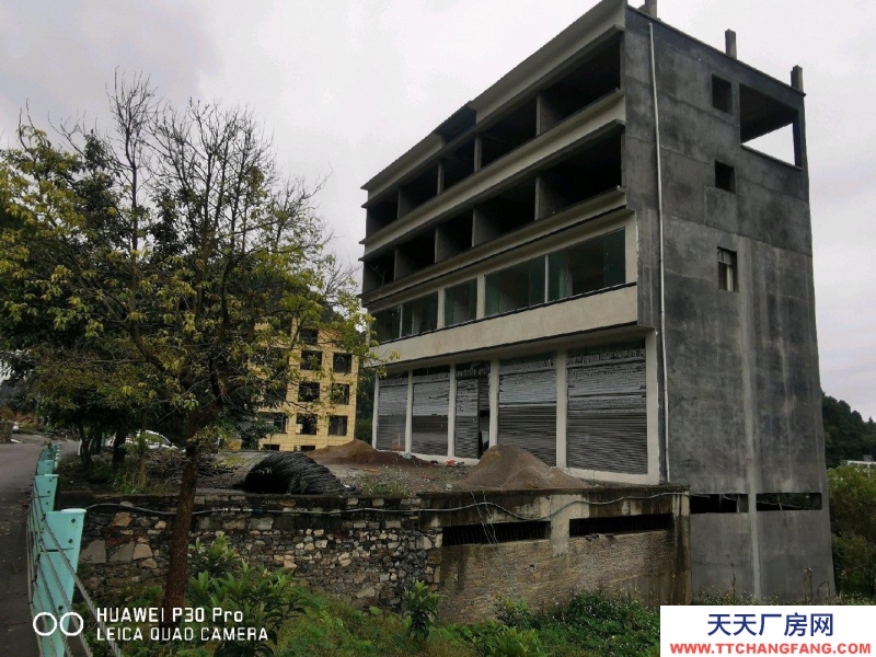 (出租) 民宿廠房倉庫幼兒園出租