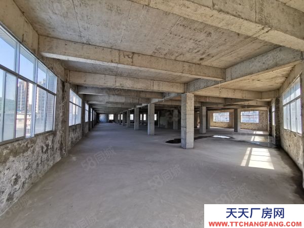 (出租) 金關(guān)鋼材市場數(shù)博大道旁3000平方自有倉庫廠房出租