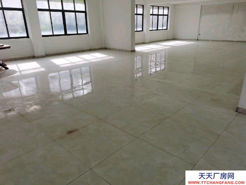 房屋簡裝修 每層270共3層出租