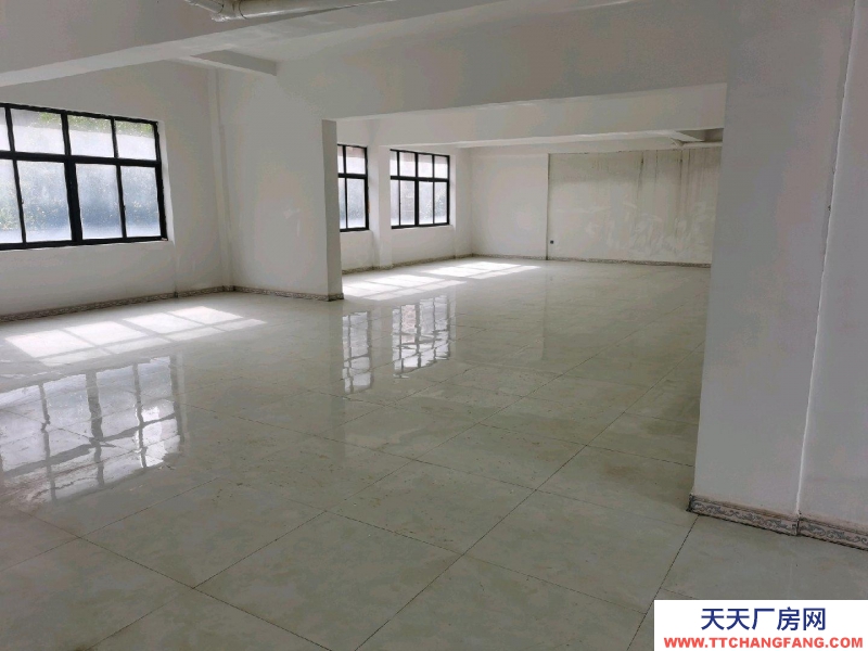 房屋簡(jiǎn)裝修 每層270共3層出租