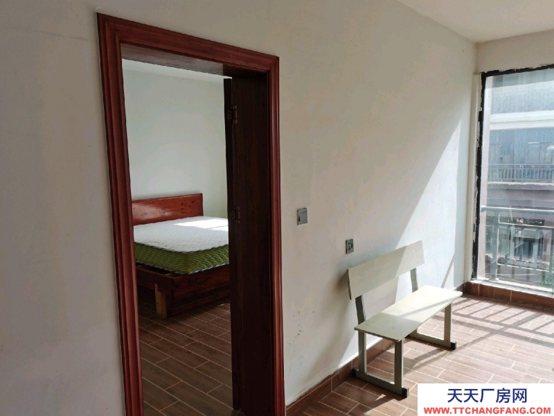 房屋簡裝修 每層270共3層出租