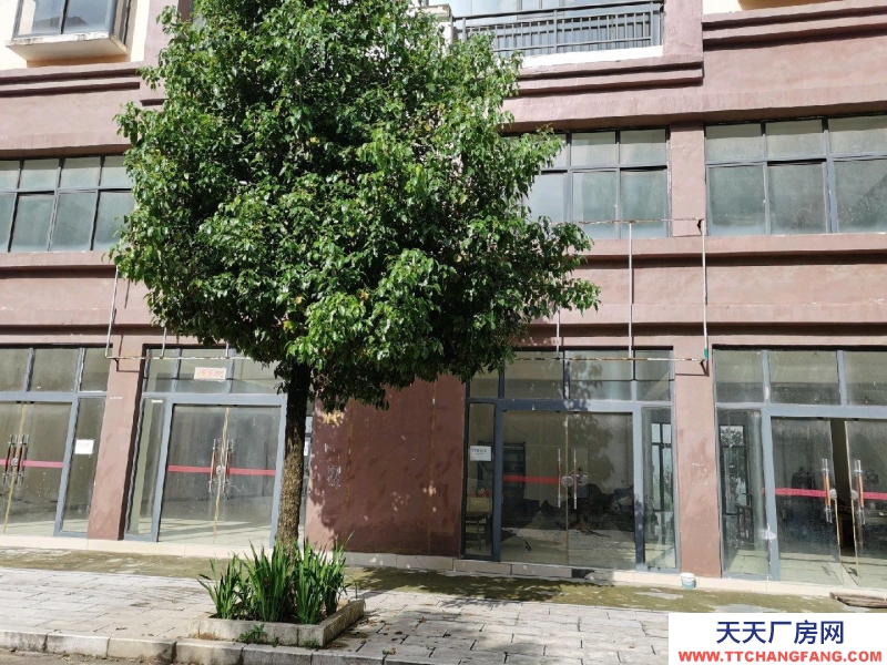 房屋簡裝修 每層270共3層出租