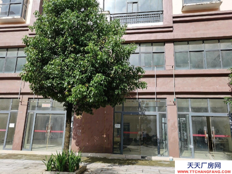 房屋簡裝修 每層270共3層出租