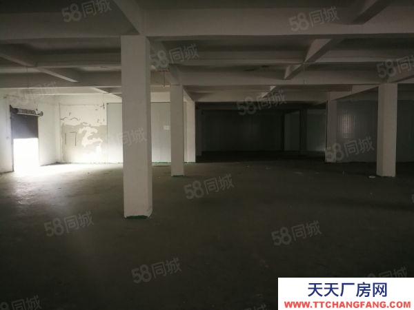 (出租) 數(shù)博大道旁金伍路65號一樓540平,420平.370平招租