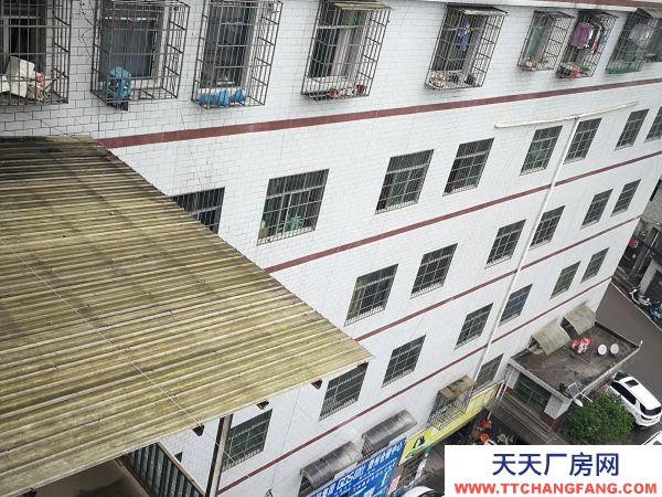 (出租) 數(shù)博大道旁金伍路65號一樓540平,420平.370平招租