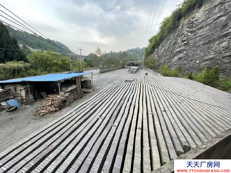 (出租) 場地開闊,交通便利,配套設施齊全