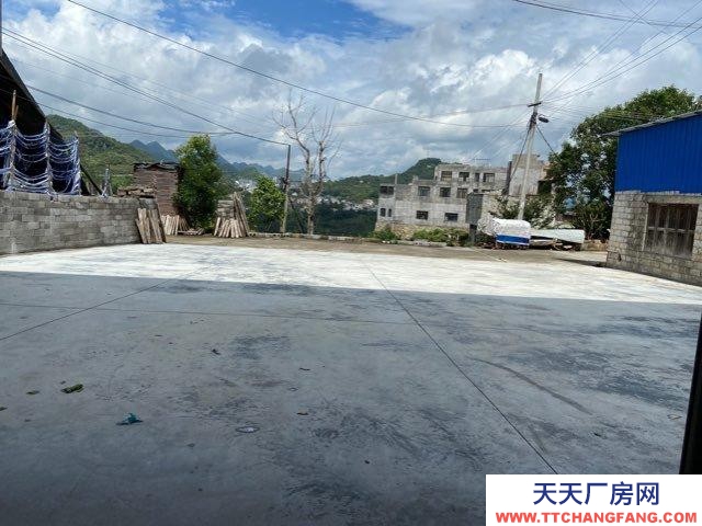 (出租) 貞豐離城區不遠，大車也能進入，倉庫出租