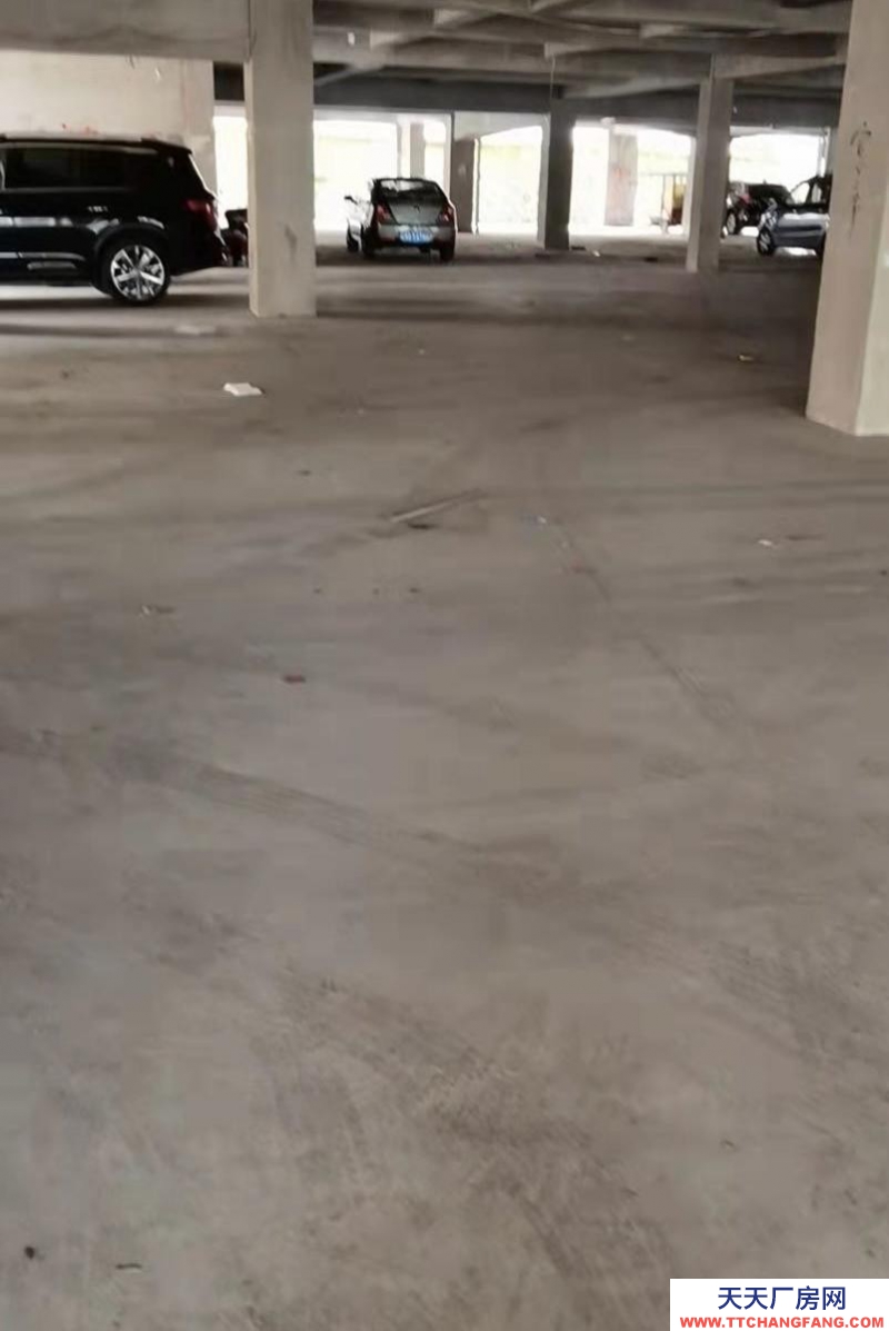 (出租) 倉庫地址紅橋新區雙龍六層半