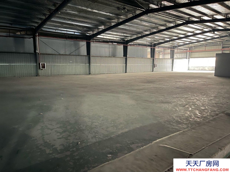 (出租) 公司直租，無公攤面積，無物業費