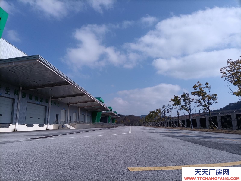 出租萬山鎮 蘇高新供應鏈示范基地廠房
