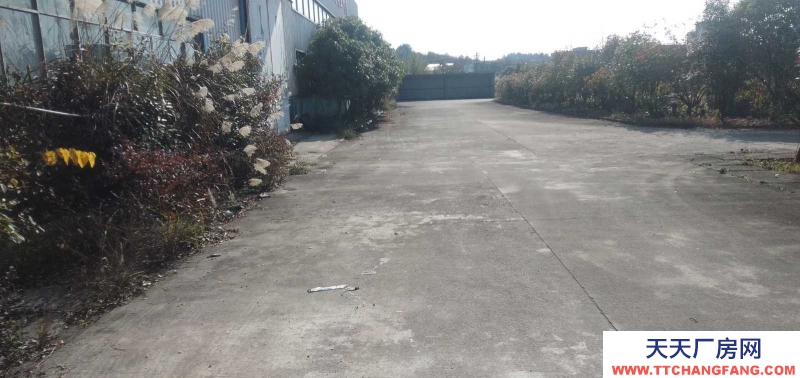 3100平米鋼構廠房倉庫招租