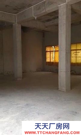 (出租) 獨(dú)棟私人兩層可做倉庫/廠房(條件便利離縣城車程5)