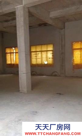 (出租) 獨(dú)棟私人兩層可做倉庫/廠房(條件便利離縣城車程5)