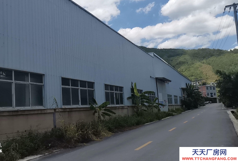 生產廠房出租出售，價格可談