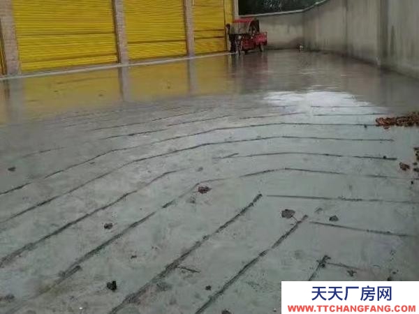 (出租) 可用于辦公，電商，產品展示