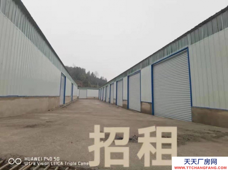 (出租) 都勻沙壩新建標準倉儲，交通便利