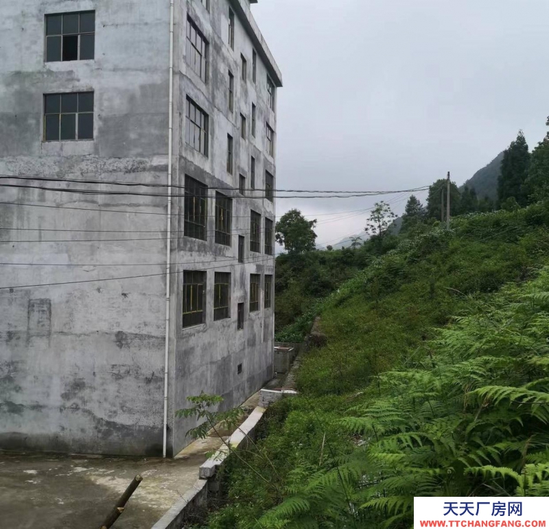 (出售) 一棟6層樓，現在 180萬元起出售