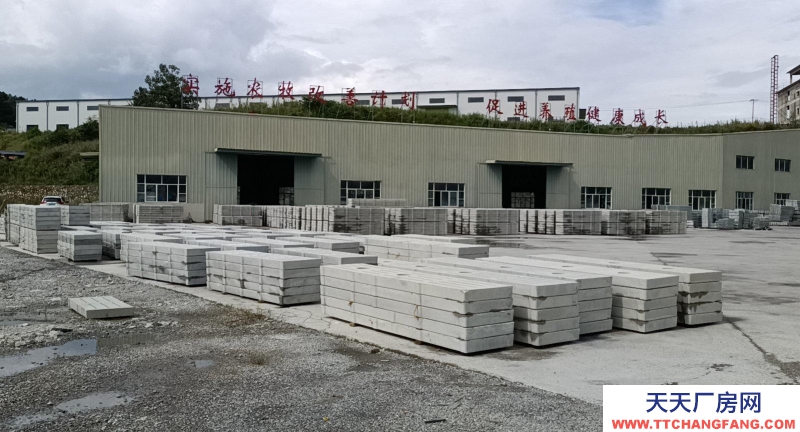 (出售) 兩幢廠房一棟辦公樓已裝修好變壓器已裝好交通方便門口就是國道。