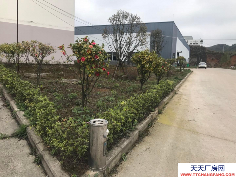 (出租) 都勻市洛邦工業(yè)園標準廠房出租