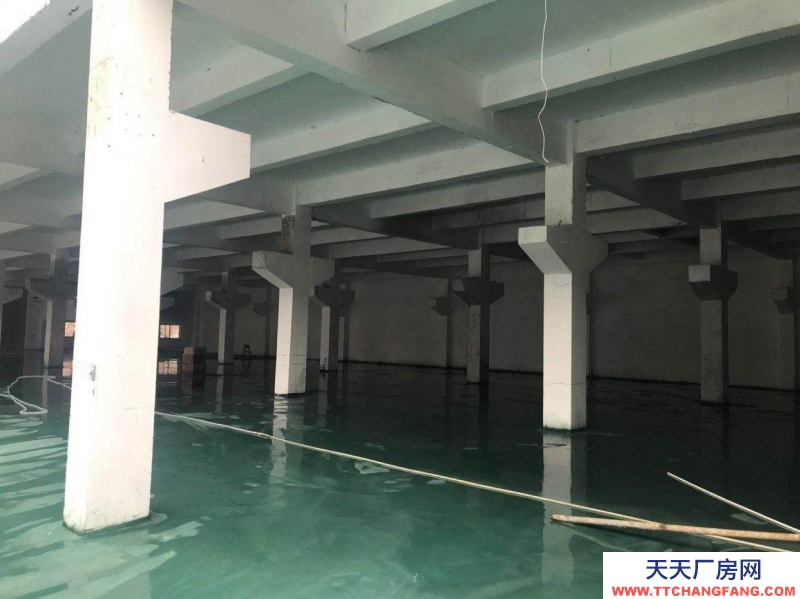 一千平磚混廠房帶大小冷庫