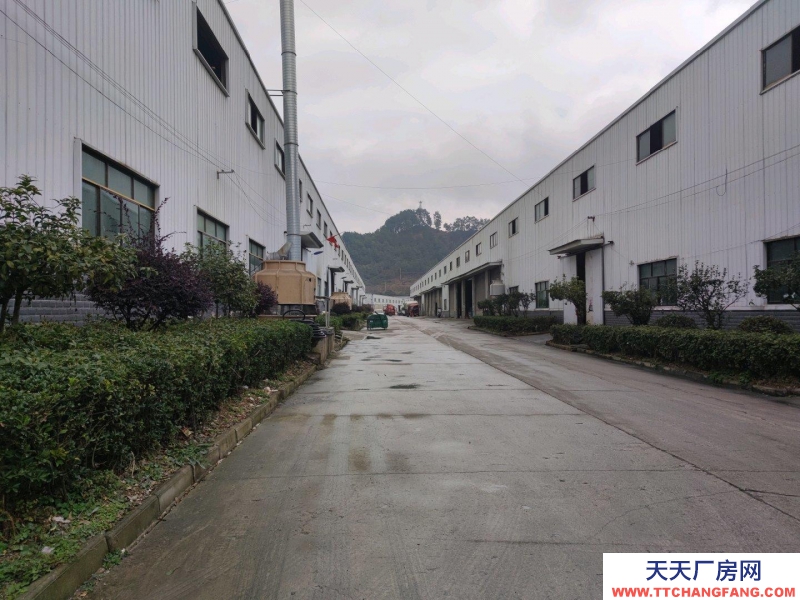 距離青巖古鎮(zhèn)6公里,交通便利,水,電通訊完備