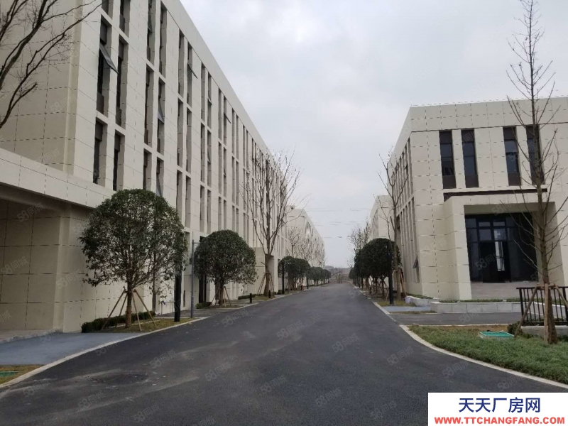 (出租) 沙文靠貴陽主城獨棟廠房出售,隸屬高新區,政策范圍廣泛