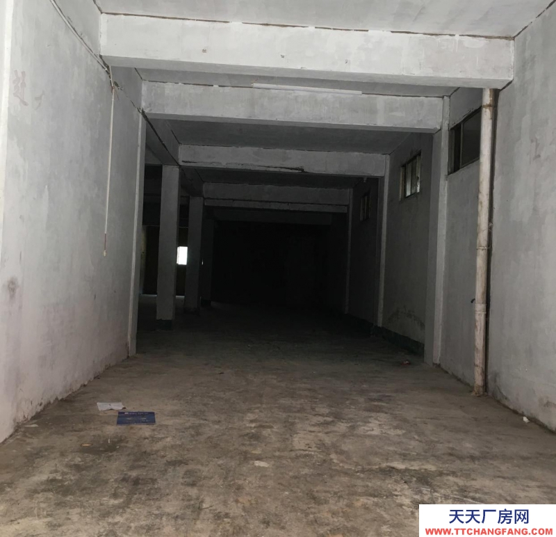 (出租) 六橋派出所后面威斯達酒店隔壁