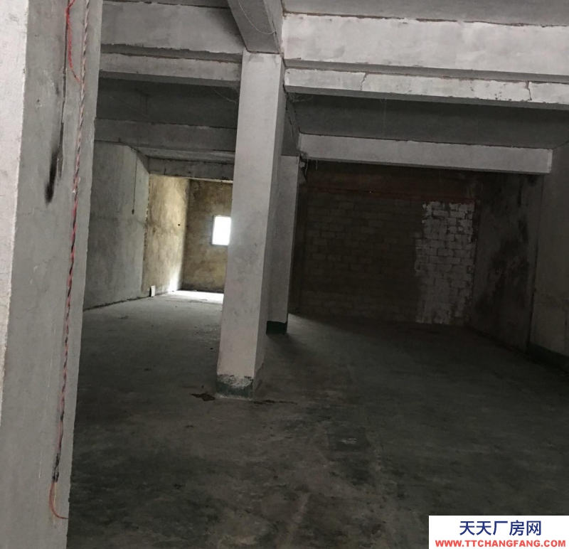 (出租) 六橋派出所后面威斯達酒店隔壁