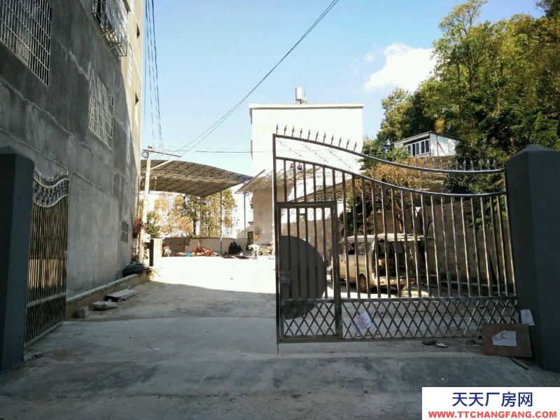 (出租) 黃泥寨！來銀酒店斜對面 倉庫 600平米