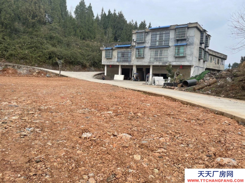 (出租) 一樓兩間門面約90平米有衛生間外面場地有800可用