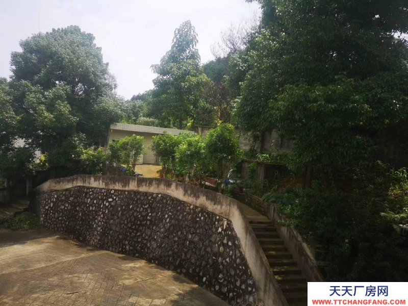 價格實惠，環境好，視野廣闊，適合做倉庫，辦公，各種企業生產。