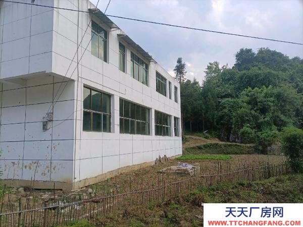 (出售) 樓下門面，樓上住房，是三層樓的地基，有條件還可加層