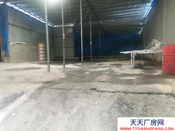 (出租) 可作貨物倉庫及加工廠房