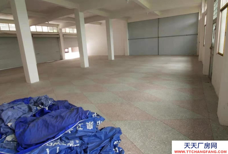 2000元250平方左右大倉庫用處很大，希望實地看房