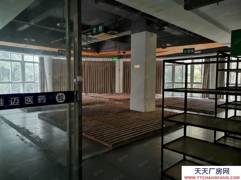 (出租) 彈子石盤龍花園門面倉庫廠房辦公室出租