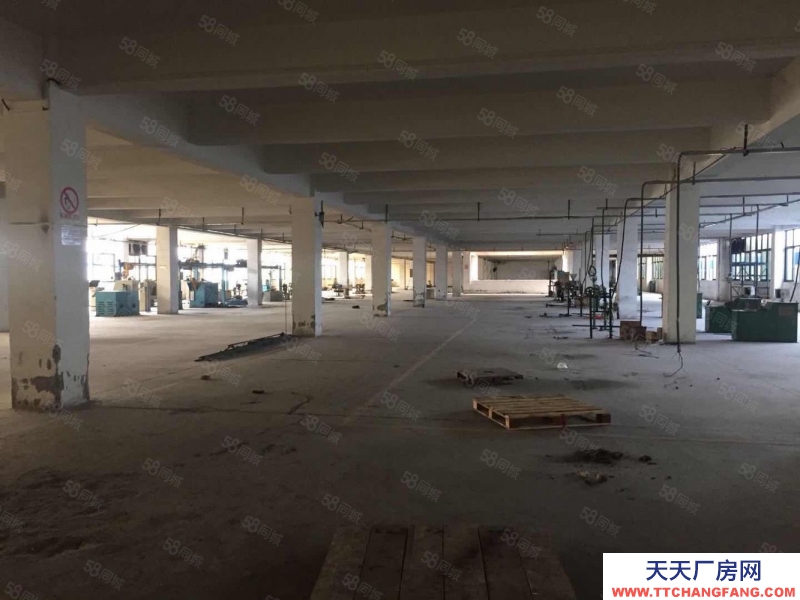 (出租) 業主直租倉庫廠房2000(可分零)(可臨租)